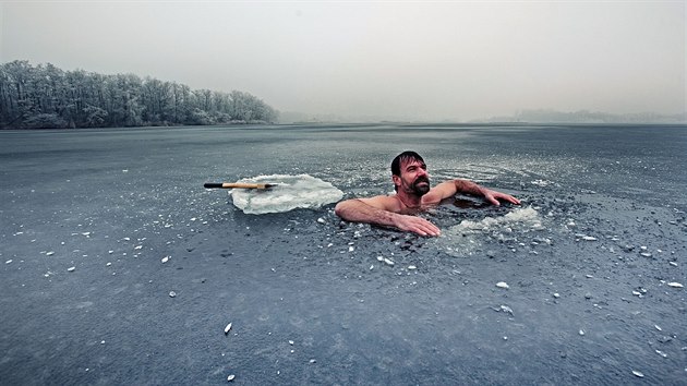Wim Hof asto pobv v ledov vod. 
