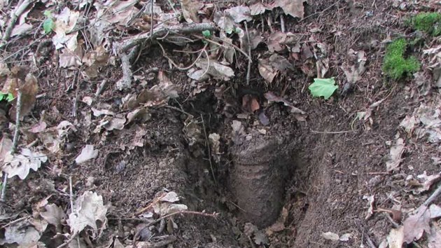 Muž v lese na Olomoucku nalezl válečnou munici (13. června 2020).