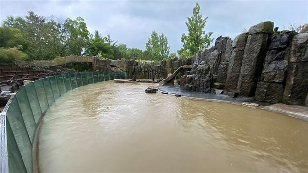 Pvalov d隝 v nedli odpoledne zashl i praskou zoo. Voda se valila zahradou a zneistila bazn pro lachtany, kter se bude muset kompletn vypustit. (14. ervna 2020)