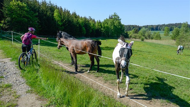 Pastviny u samoty Buchov