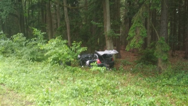 Auto po smyku u Deblna na Brnnsku skonilo v lese. Osmilet Adam z nj i pes zrann zvldl dojt pro pomoc.