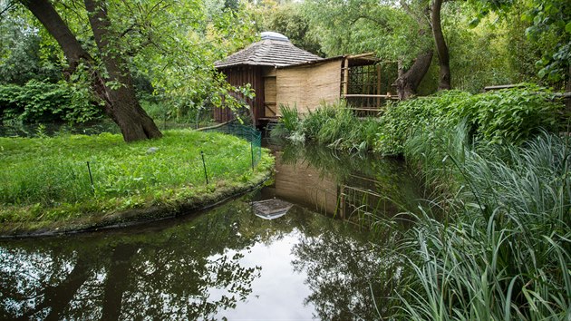 Nový pavilonek pro kotuly veverovité vznikl v expozičním celku Vodní svět a Opičí ostrovy v dolní části Zoo Praha.