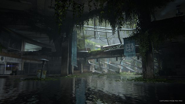 The Last of Us Part II