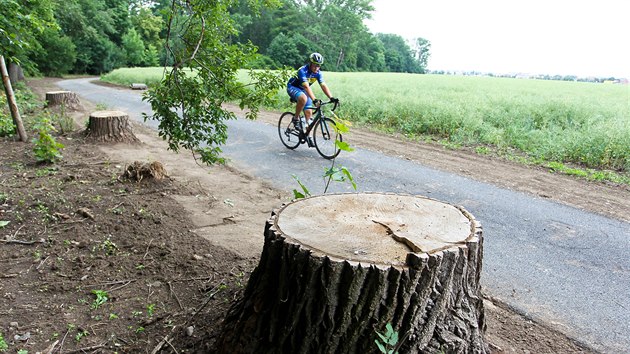 Na nov sek cyklostezky Hlouela u Prostjova se snesla vlna kritiky, nebo pi stavb asfaltov cesty bylo pokceno nkolik vzrostlch strom.