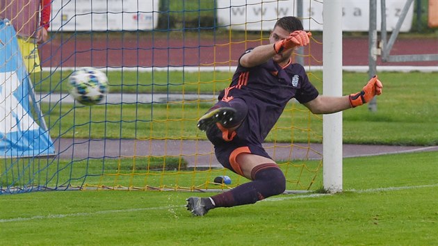 Vyehradsk glman Martin Othal inkasuje z penalty.