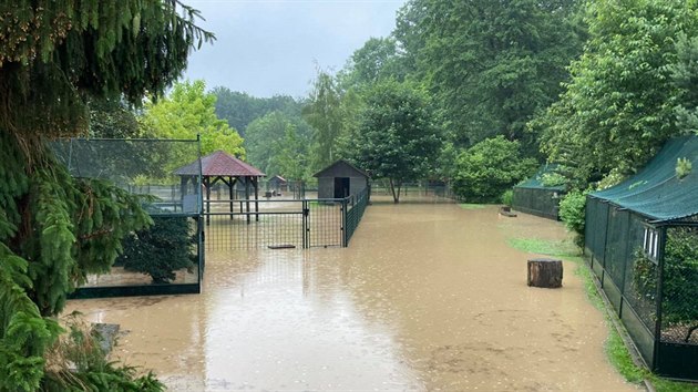 Štědrý potok rozvodněný po vydatných deštích zaplavil část parku u soukromého zámku v Častolovicích, správce ráno evakuoval zvířata ze zvěřince (19. 6. 2020).