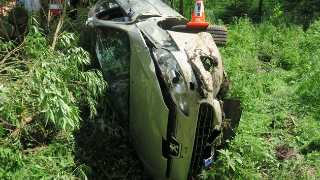 idika se ohldla na dt na zadn sedace a vyjela ze silnice. Auto se pak pevrtilo na bok a opelo se o strom.