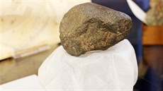 Meteorit nalezený na vrchu �alý