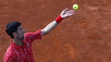 Novak Djokovi servíruje na charitativním turnaji v Blehrad