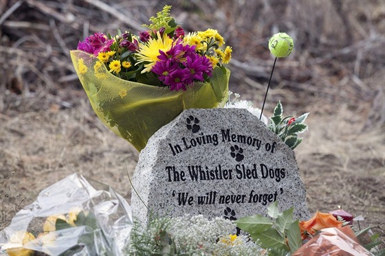 „Nikdy nezapomeneme.“ Pamětní deska uctívá památku tažných psů, které firma...