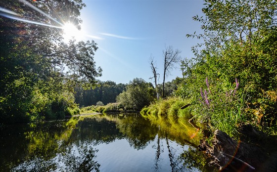 Kam na nejhezí výlety v esku a na Slovensku? Vyplte kvíz a skvlá kniha vám pome s výbrem. Ilustraní snímek.