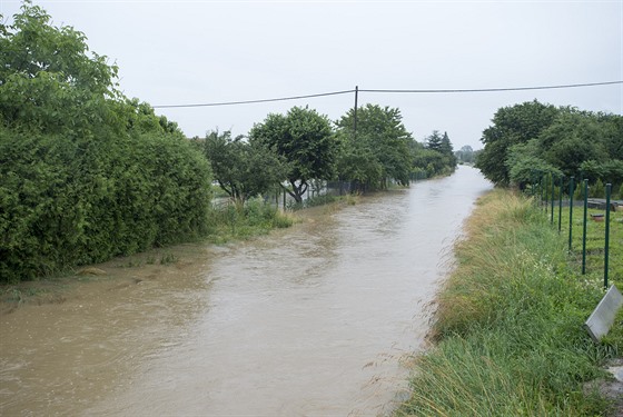 Rozvodnný potok v Dolních edicích na Pardubicku. (29. ervna 2020)