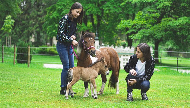 V mariánskolázeském parku miniatur Boheminium mohou lidé vidt zástupce...