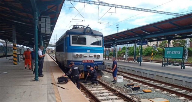 Hlídka plzeských stráník odchytávala na vlakovém nádraí pávici. Pijela na...