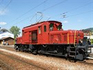výcarská elektrická lokomotiva ady De 6/6 zvaná Seetalský krokodýl