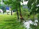 Obec Viová na Frýdlantsku se vzpamatovává ze sobotní velké vody (21. ervna...