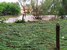Viová na Frýdlantsku se vzpamatovává ze sobotní povodn (21. ervna 2020)