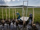 Naun stezka kolem umavskho rybnku Olina