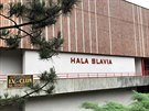 Opravili palubovku, do haly Slavia v Hradci vak zatk stechou