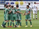 Fotbalisté Bohemians se radují z gólu v utkání proti Slovácku.