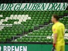 eský branká Jií Pavlenka sleduje spoluhráe z Werderu Brémy.