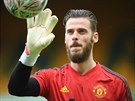 David de Gea z Manchesteru United v pohárovém zápase s Norwichem