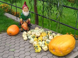 Josef Tauchen ukázal, jak spolen se svým trpaslíkem slaví podzim po sklizni.