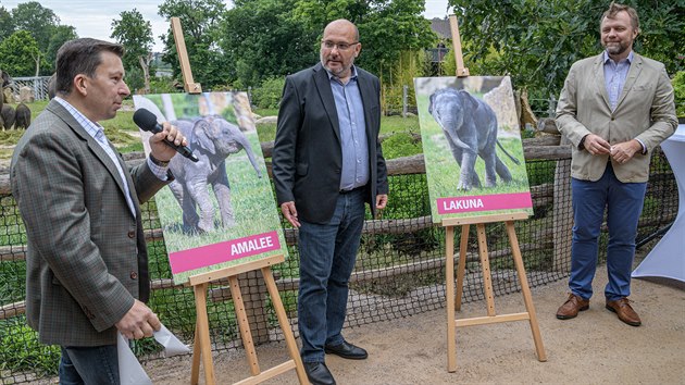 Leton slon samiky v Zoo Praha poktili (zleva) sttn tajemnk Ministerstva zahraninch vc R Miloslav Staek, editel Zoo Praha Miroslav Bobek a pedseda pedstavenstva a generln editel Komern banky Jan Juchelka.