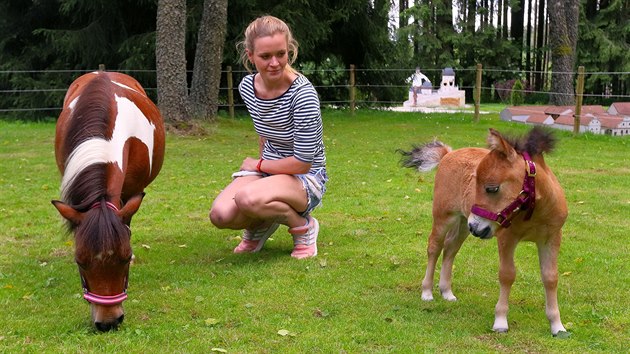 Klisna Fany (matka), Daniela Jnsk, oetovatelka a Sofie (hb) plemene American Miniature Horse, Kon jsou nejnovj "iv" akvizice parku miniatur Boheminium (27. ervna 2020).