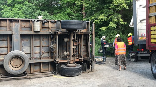 Kamion narazil v �ter� 23. �ervna do viaduktu u Ch�nova. �idi� i spolujezdec na m�st� zem�eli. Hasi�i spolu s veterin��i zachra�ovali i dr�be�, kterou v aut� vezli.