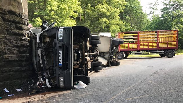 Kamion narazil v úterý 23. června do viaduktu u Chýnova. Řidič i spolujezdec na místě zemřeli. Hasiči spolu s veterináři zachraňovali i drůbež, kterou v autě vezli.