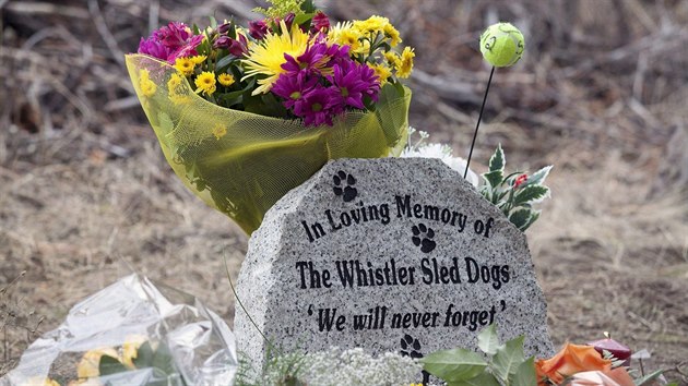 Nikdy nezapomeneme. Pamtn deska uctv pamtku tanch ps, kter firma Howling Dog Tours vyuila k podnikn bhem olympijskch her ve Vancouveru v roce 2010. Vozili za penze nvtvnky. Po konci her je firma vechny nechala utratit.
