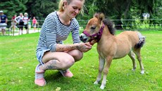 Daniela Jánská, oetovatelka a Sofie (híb) plemene American Miniature Horse...