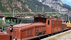 výcarská elektrická lokomotiva ady Ce 6/8 II zvaná Krokodýl
