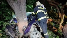 Náraz auta do stromu u Mochova si vyádal dva lidské ivoty (20. ervna 2020)