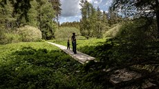 Nauná stezka kolem umavského rybníku Olina