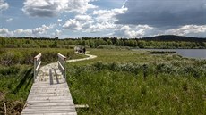 Nauná stezka kolem umavského rybníku Olina