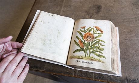 Vzácný farmaceuticko-botanický rukopis z první poloviny 18. století je pes...
