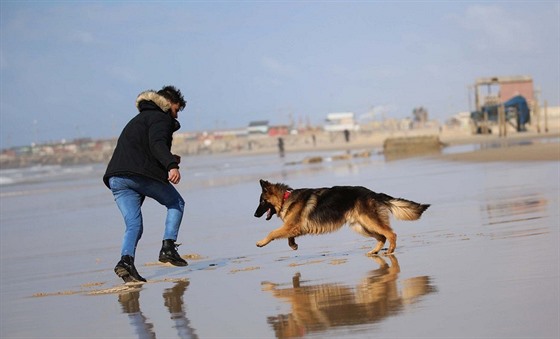 Palestinec si hraje se svým psem na mstské plái v Gaze. (1. bezna 2020)