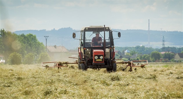 Bez sedmi miliard z rozpočtu farmáři hrozí zavíráním chovů