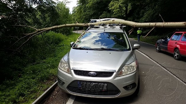 U Lanperka na Orlickoústecku spadl na auto za jízdy strom.