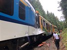 V blízkosti Perninku na Karlovarsku se srazily dva osobní vlaky. (7. ervence...