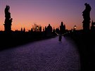 Vladimír Braun: Karanténa - Karlv most ped svítáním