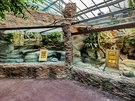 Krlovdvorsk safari park otevel nov opraven pavilon Vodn svty (15. 6....