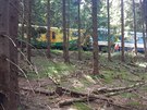 Na Karlovarsku se srazily dva vlaky (7. 7. 2020)