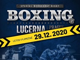 Galaveer boxu v Lucern