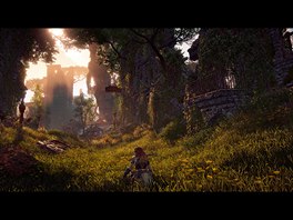 Horizon Zero Dawn (PC)