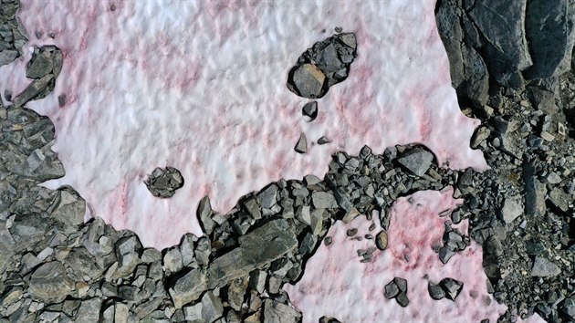 Ledovec Presena v severn Itlii se kvli ptomnosti as barv do rova. (5. ervence 2020)