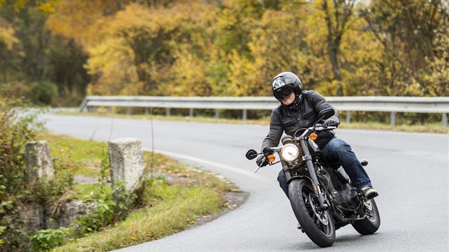 Harley-Davidson Sportster Roadster XL1200