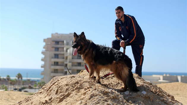 Palestinec dr svho domcho mazlka na vodtku bhem vstavy ps ve mst Gaza. (9. ervence 2020)
